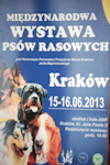 Katowice 17-03-2013