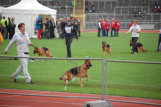 Wystawa światowa ON 2012 — zdjęcie 76