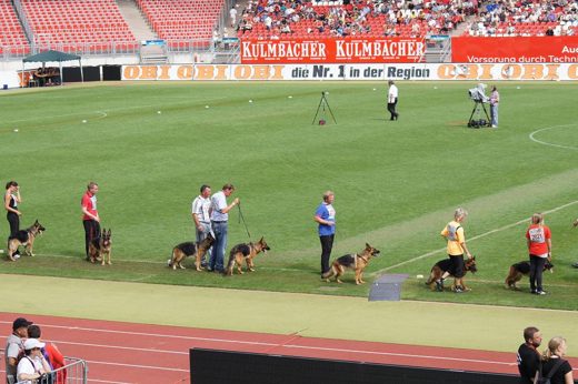 Wystawa światowa ON 2011 — zdjęcie 221