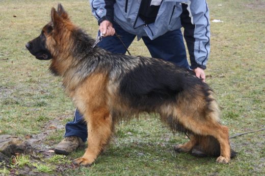 Jarosław — 2013 — zdjęcie 16