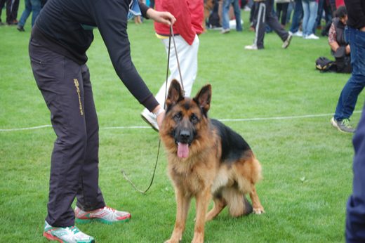 Wystawa światowa ON 2012 — zdjęcie 26