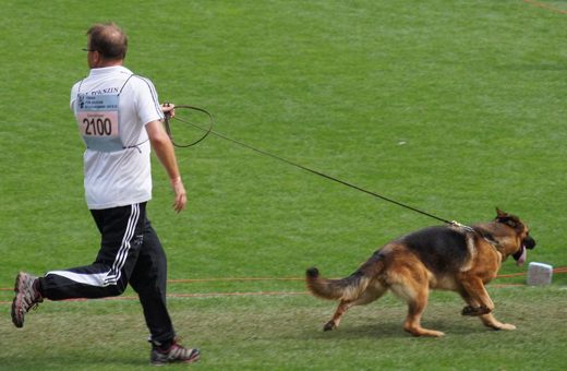 Wystawa światowa ON 2011 — zdjęcie 201