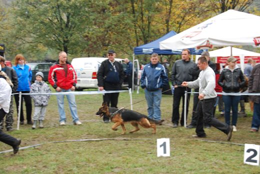 Czchów – Zapora — 2012 — zdjęcie 66