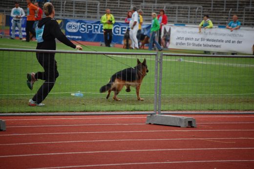 Wystawa światowa ON 2012 — zdjęcie 34