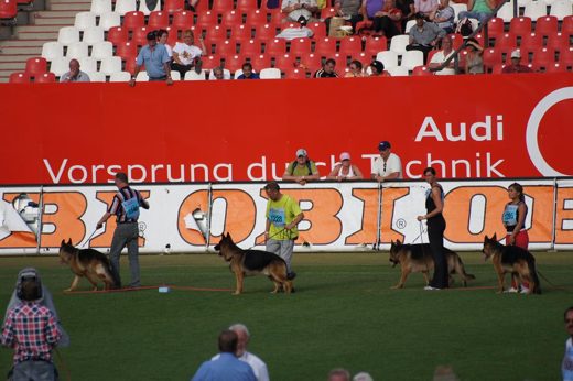 Wystawa światowa ON 2011 — zdjęcie 151