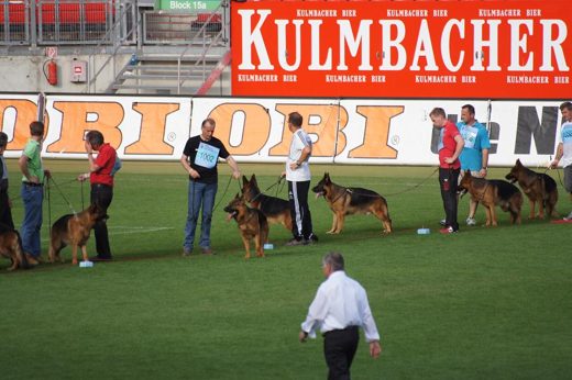 Wystawa światowa ON 2011 — zdjęcie 153