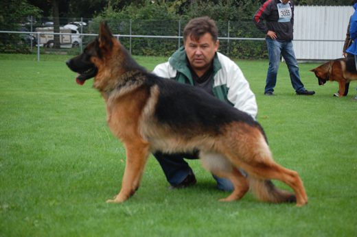 Wystawa światowa ON 2012 — zdjęcie 80