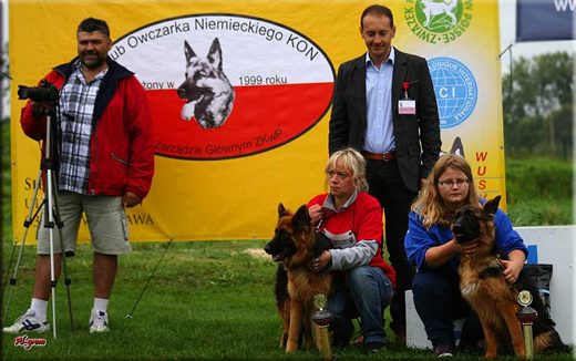 Krasnystaw — 2012 — zdjęcie 126
