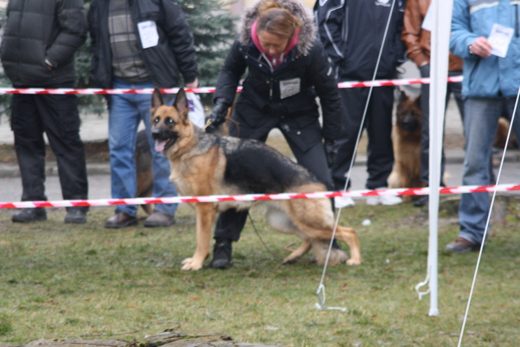 Jarosław — 2013 — zdjęcie 52