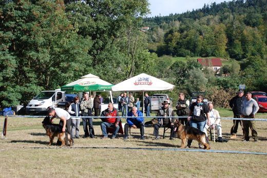 Czchów – Zapora — 2012 — zdjęcie 6