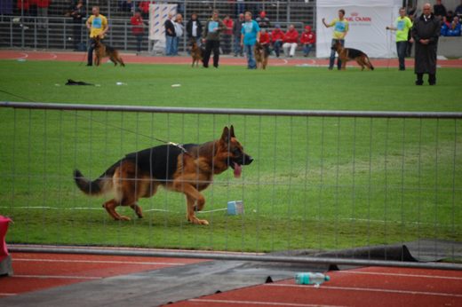 Wystawa światowa ON 2012 — zdjęcie 32