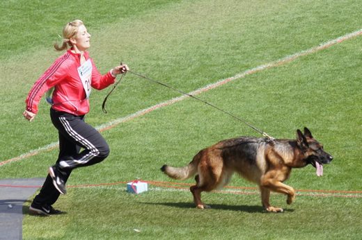 Wystawa światowa ON 2011 — zdjęcie 253