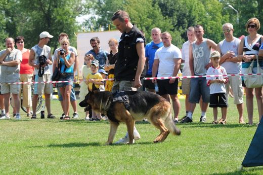 Grajewo — 2012 — zdjęcie 16
