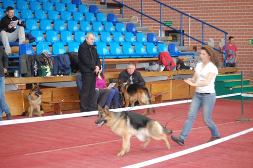 Katowice — 2013 — zdjęcie 23