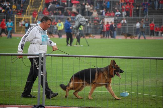 Wystawa światowa ON 2012 — zdjęcie 58