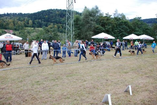 Czchów – Zapora — 2012 — zdjęcie 20