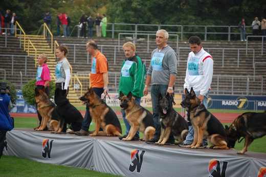 Wystawa światowa ON 2012 — zdjęcie 28