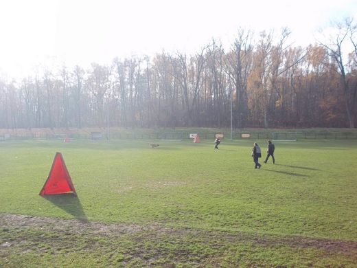 Mistrzostwa IPO ON 2012 — zdjęcie 104