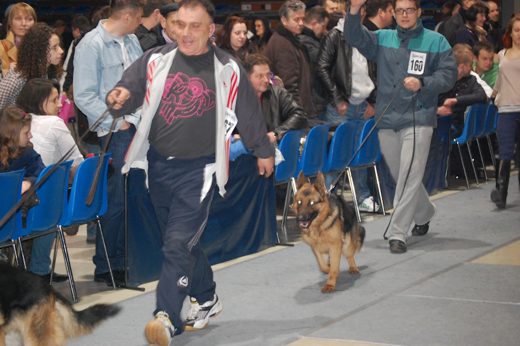 Rzeszów — 2013 — zdjęcie 24