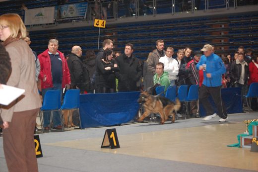Rzeszów — 2013 — zdjęcie 64