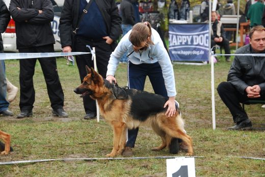 Czchów – Zapora — 2012 — zdjęcie 70