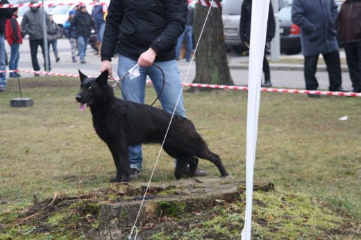 Jarosław — 2013 — zdjęcie 56