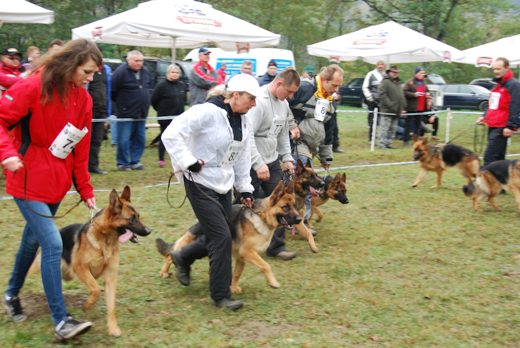Czchów – Zapora — 2012 — zdjęcie 68