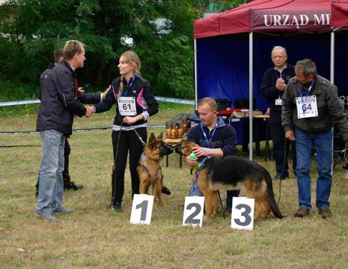 Czchów – Zapora — 2012 — zdjęcie 2
