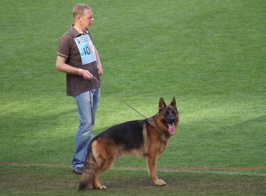 Wystawa światowa ON 2011 — zdjęcie 26