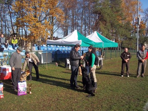 Mistrzostwa IPO ON 2012 — zdjęcie 22