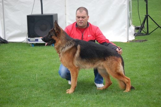 Wystawa światowa ON 2012 — zdjęcie 81