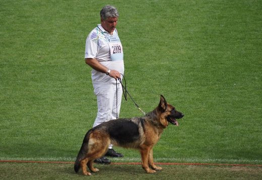Wystawa światowa ON 2011 — zdjęcie 173
