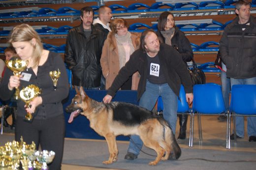 Rzeszów — 2013 — zdjęcie 68