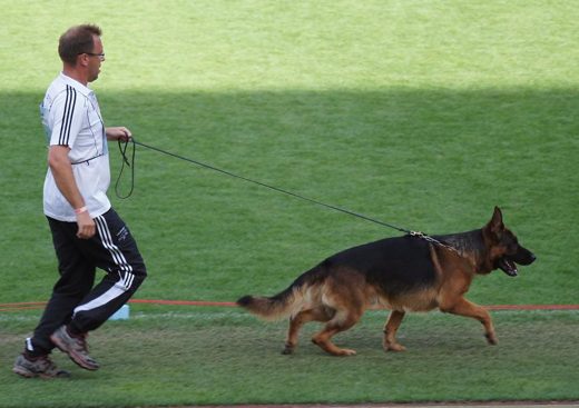 Wystawa światowa ON 2011 — zdjęcie 81