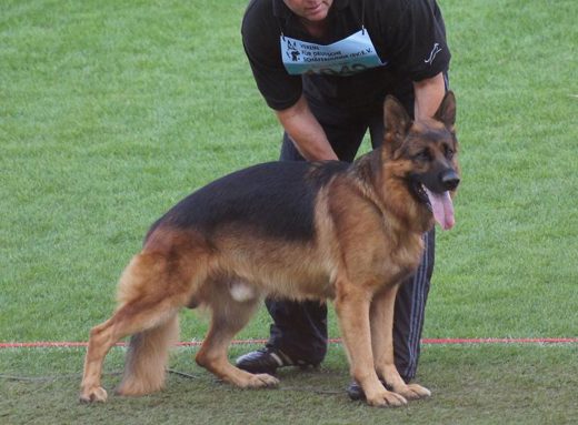 Wystawa światowa ON 2011 — zdjęcie 131