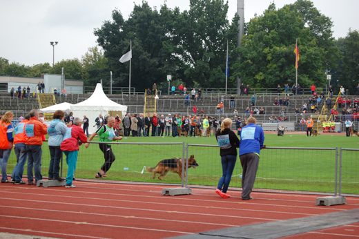 Wystawa światowa ON 2012 — zdjęcie 40