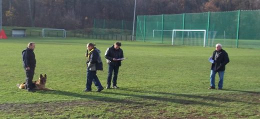 Mistrzostwa IPO ON 2012 — zdjęcie 89