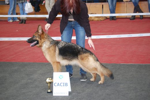 Katowice — 2013 — zdjęcie 6