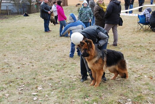 Drzonków — 2013 — zdjęcie 2