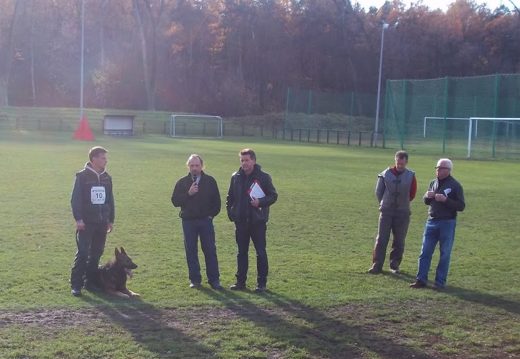 Mistrzostwa IPO ON 2012 — zdjęcie 69