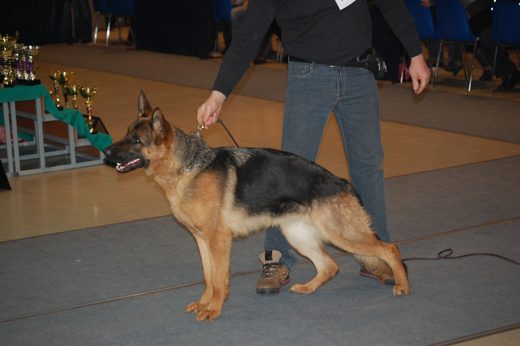 Rzeszów — 2013 — zdjęcie 41