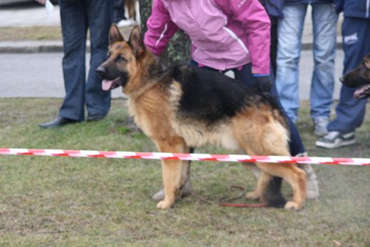 Jarosław — 2013 — zdjęcie 75