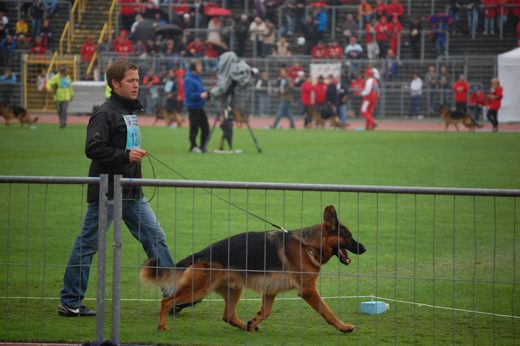 Wystawa światowa ON 2012 — zdjęcie 56