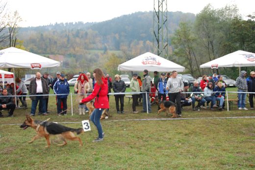 Czchów – Zapora — 2012 — zdjęcie 72