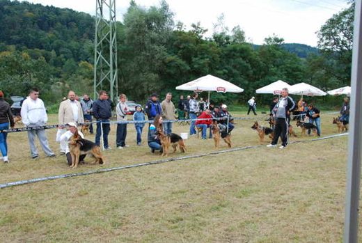 Czchów – Zapora — 2012 — zdjęcie 59