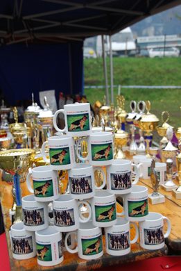 Czchów – Zapora — 2012 — zdjęcie 63
