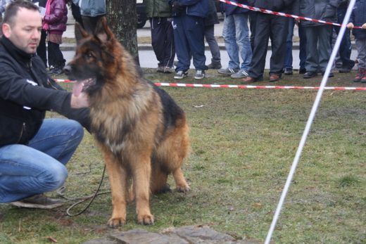 Jarosław — 2013 — zdjęcie 24