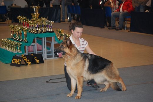 Rzeszów — 2013 — zdjęcie 47