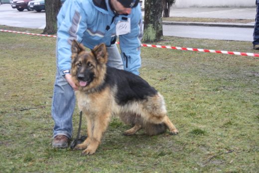Jarosław — 2013 — zdjęcie 4