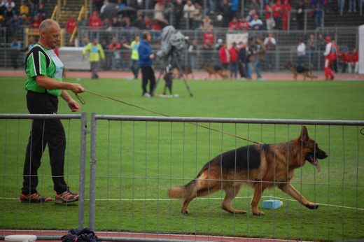 Wystawa światowa ON 2012 — zdjęcie 57